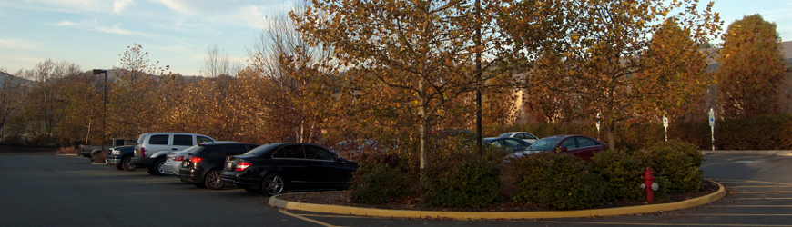 Slideshow Image 3