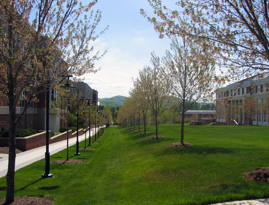 Slideshow Image 2