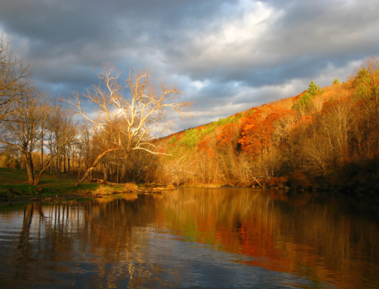 Slideshow Image 1