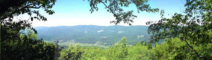 Slideshow Image 2