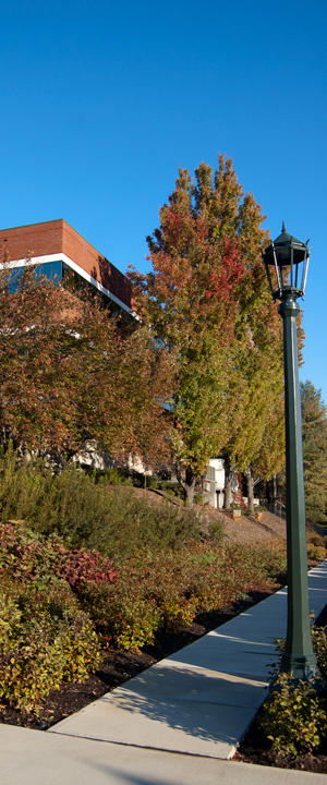 Secondary Image