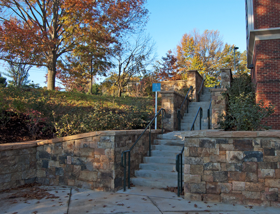 Slideshow Image 2