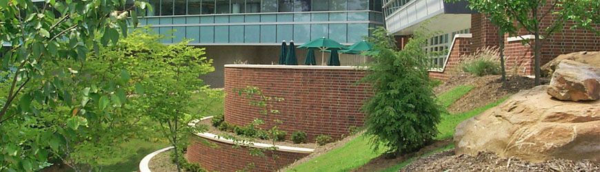 Slideshow Image 1