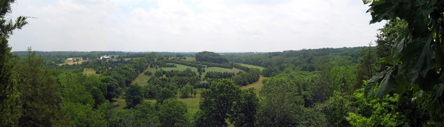 Slideshow Image 1