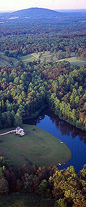 Secondary Image