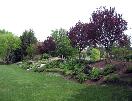 Slideshow Image 3