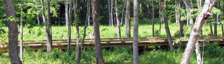 Slideshow Image 3