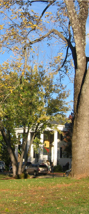 Secondary Image