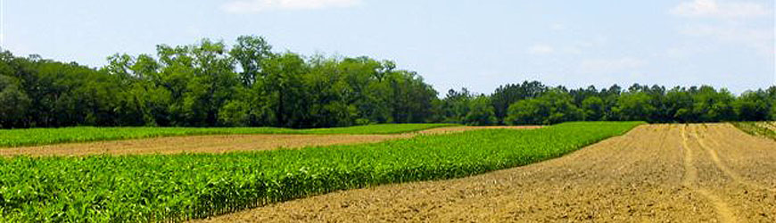 Slideshow Image 2