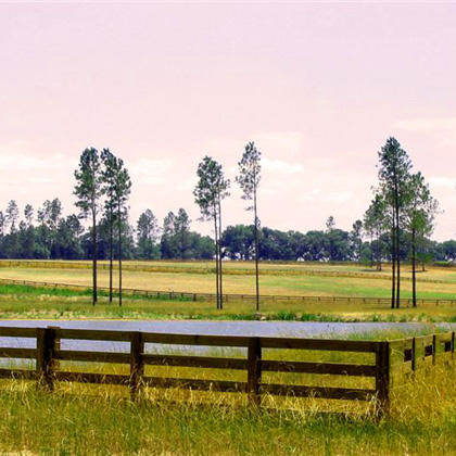 Secondary Image