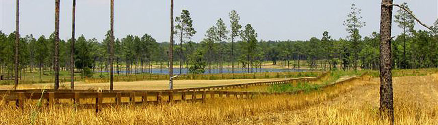 Slideshow Image 3