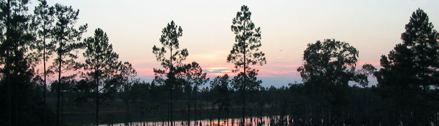 Slideshow Image 1