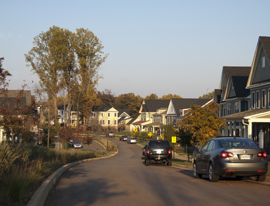 Slideshow Image 1
