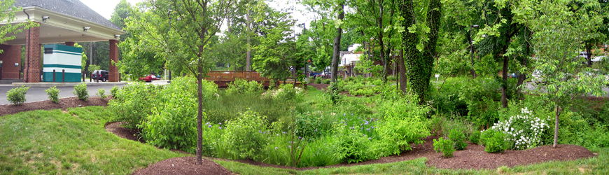 Slideshow Image 1