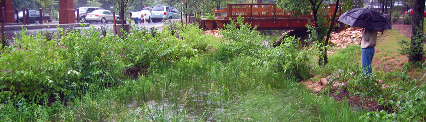 Slideshow Image 2
